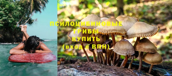 бутират Верея