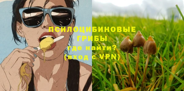 бутират Верея
