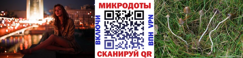 Псилоцибиновые грибы Cubensis  Хадыженск 